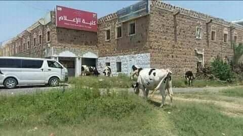 118283810_3339751979405135_4752248012961192114_n