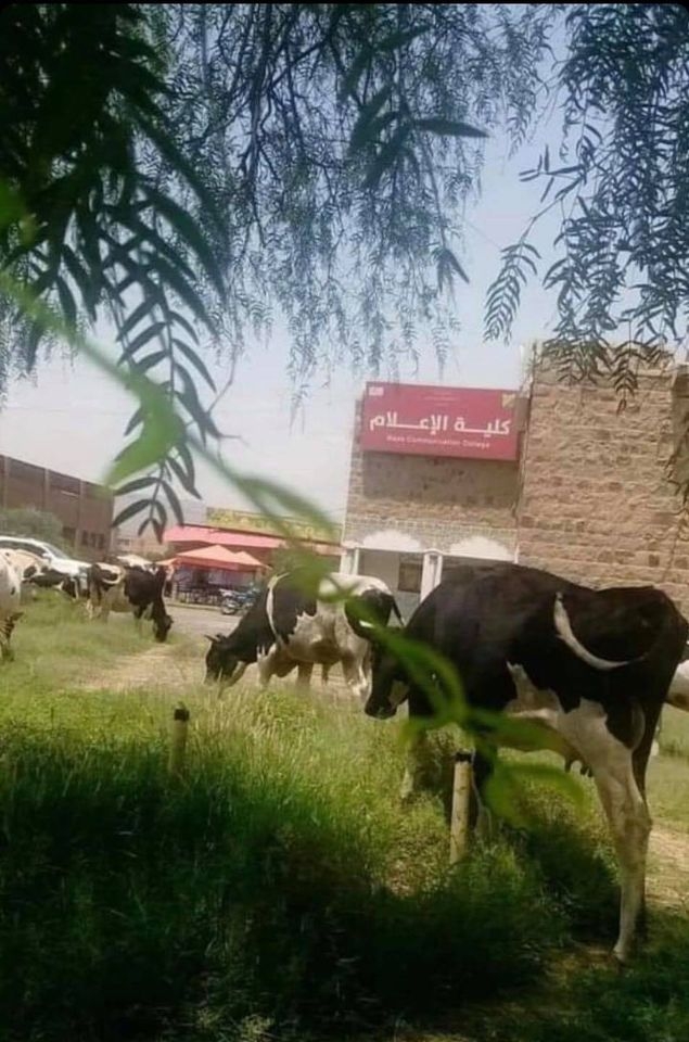 118301157_3339714859408847_5456097871140282248_o